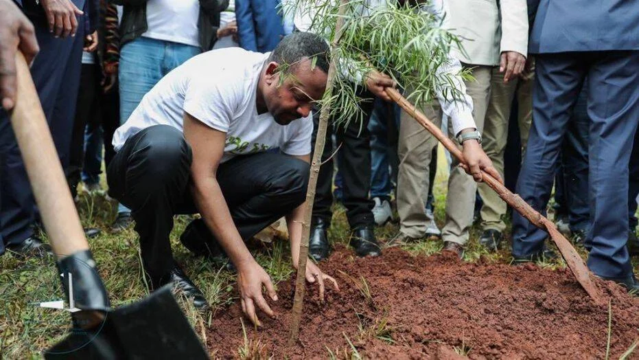 Un hombre agachado planta un árbol joven en tierra roja mientras un grupo de personas observa a su alrededor.