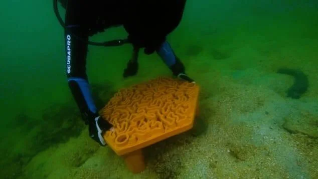 Un buzo instala una plataforma naranja con textura coralina en el lecho marino arenoso.