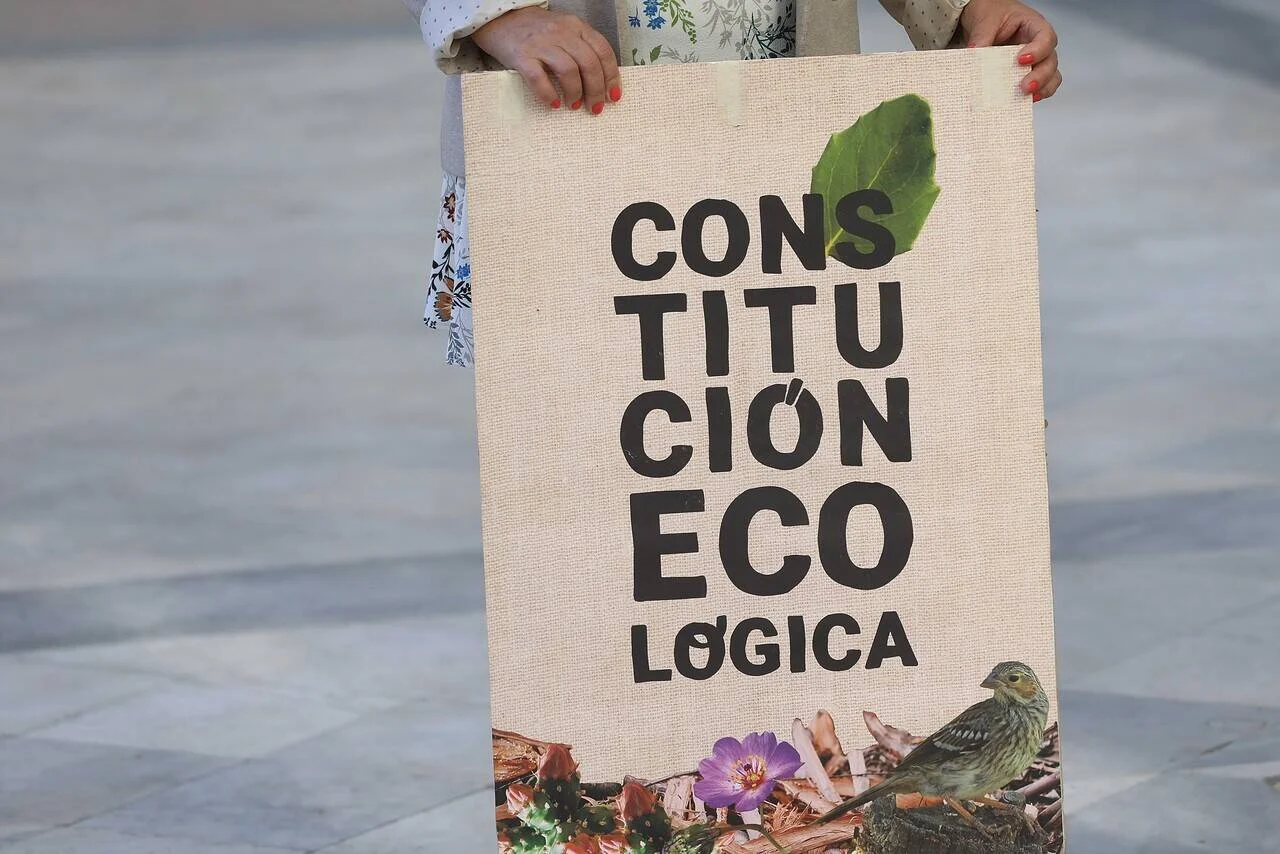 Una persona sostiene un cartel con la frase 'Constitución Ecológica' decorado con hojas, flores y un pájaro.