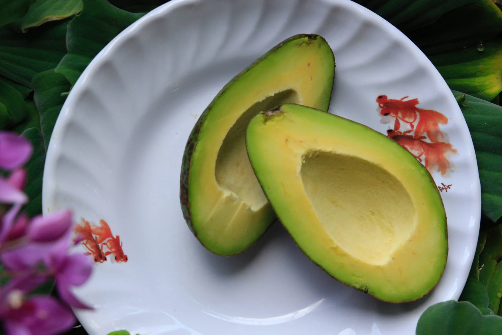 Dos mitades de aguacate maduro sin semilla sobre un plato blanco decorado, rodeado de hojas verdes y flores rosas.