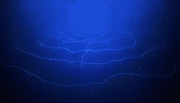 Visualización abstracta de redes digitales con líneas luminosas sobre fondo azul oscuro.