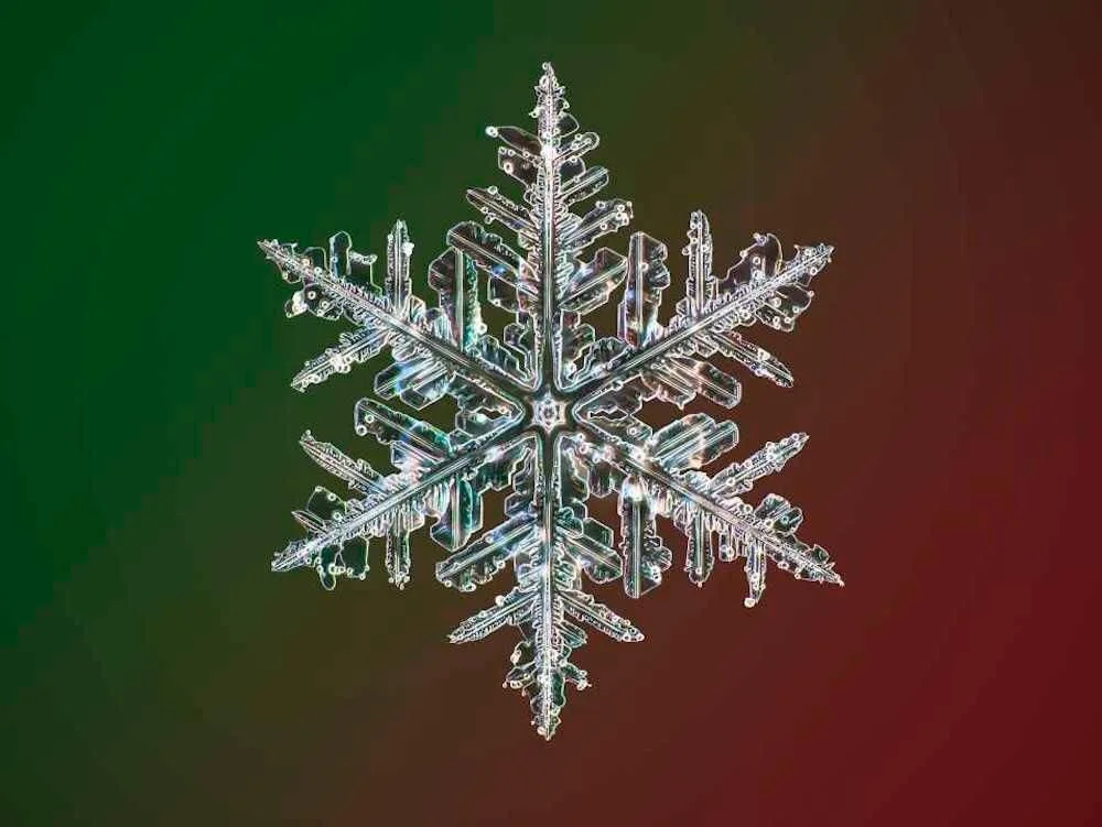 Fotografía macro de un copo de nieve con simetría hexagonal perfecta sobre fondo verde y rojo.