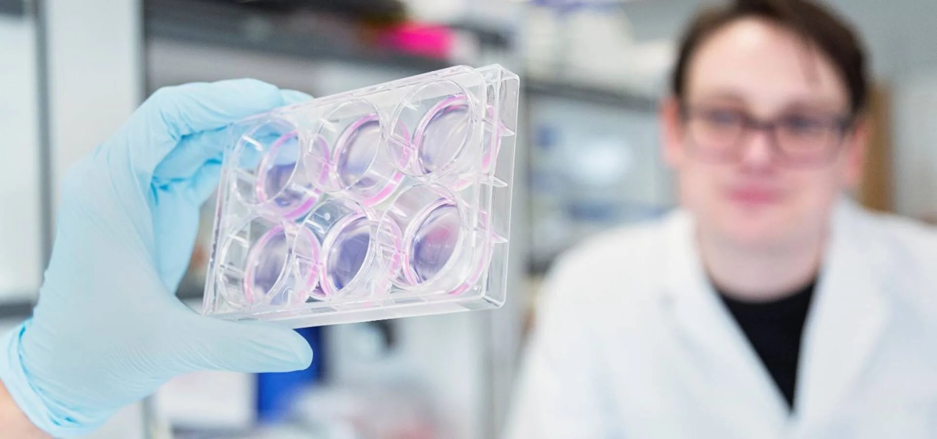 Investigador con bata blanca y guante azul sostiene una placa de cultivo de seis pocillos en un laboratorio.