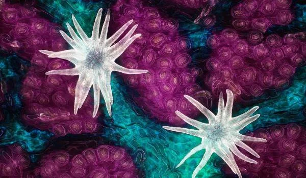 Representación artística de células con forma estrellada blancas sobre fondo de texturas violetas y turquesas.