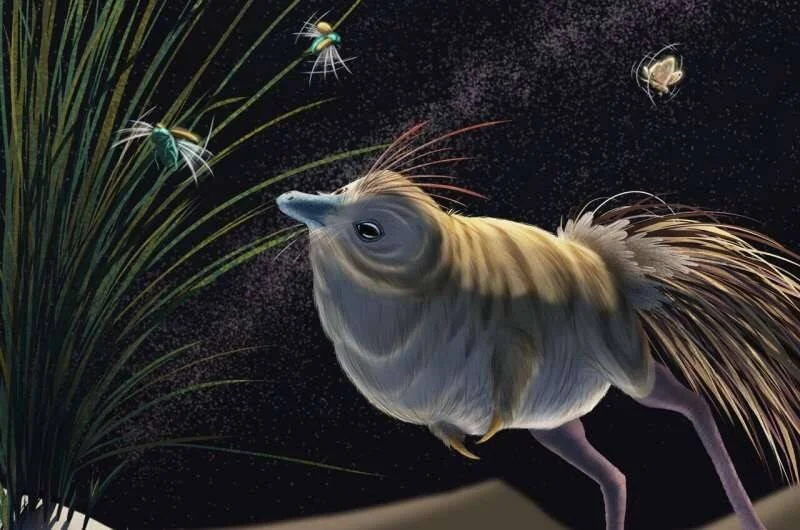 Reconstrucción artística de un ave prehistórica emplumada observando insectos luminosos en un entorno nocturno.