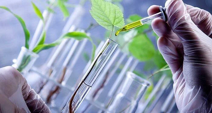 Científico con guantes aplica con gotero un líquido amarillo sobre una planta en tubo de ensayo, rodeado de otros tubos con plantas.