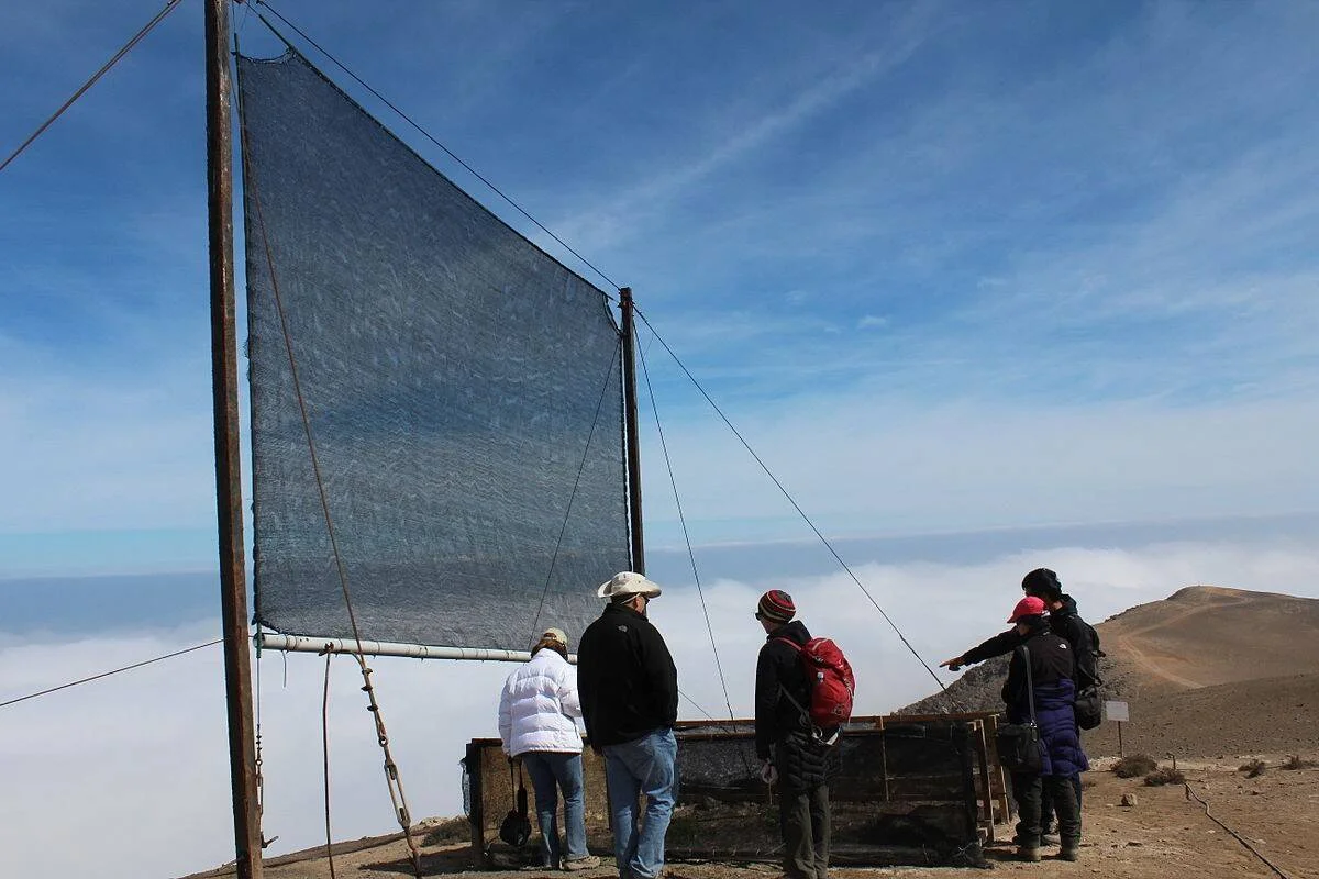 Grupo de personas observa una gran malla captadora de niebla instalada en la cima de una montaña desértica sobre un mar de nubes.
