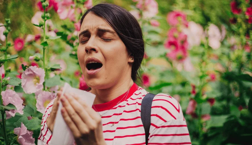 Mujer con pañuelo a punto de estornudar rodeada de flores rosas, síntoma de alergia al polen.