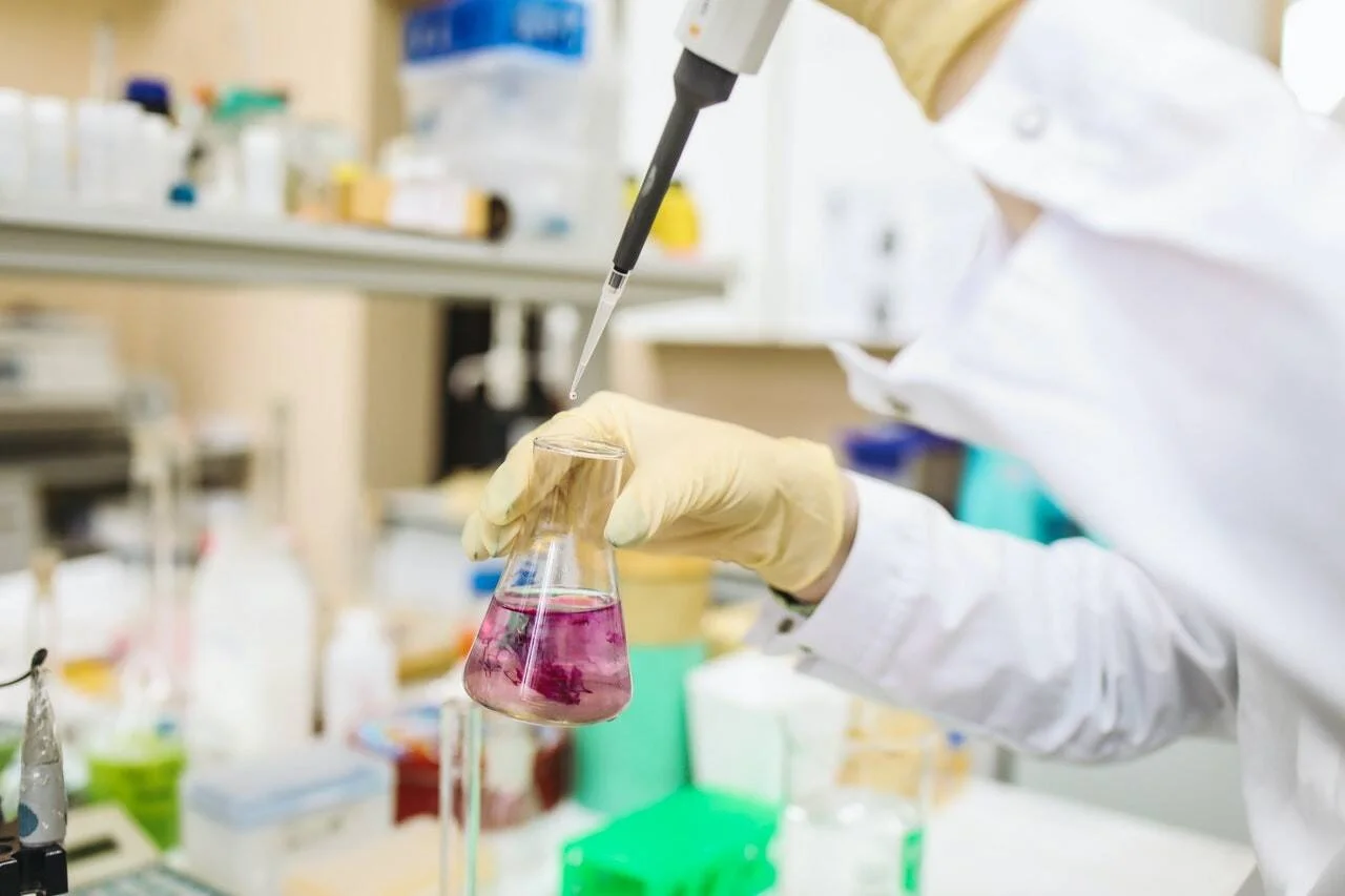 Investigador con guantes de látex agrega gotas con micropipeta a un matraz Erlenmeyer con líquido rosa en un laboratorio.