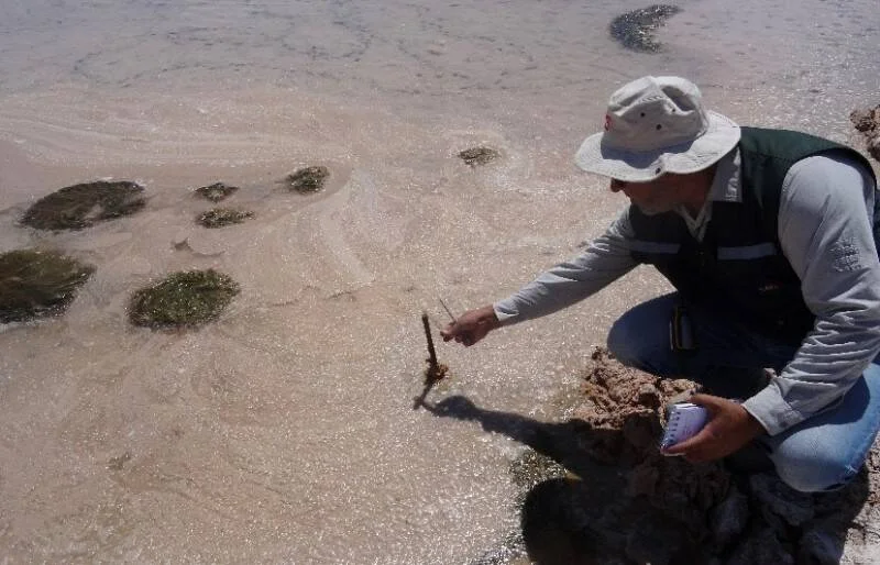 Un técnico con chaleco y sombrero examina sedimentos en la orilla del mar sosteniendo un instrumento y una libreta.