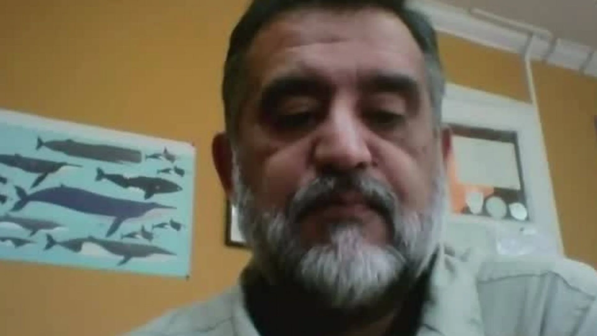 Hombre de mediana edad con barba canosa frente a una pared con póster de ballenas y cetáceos.