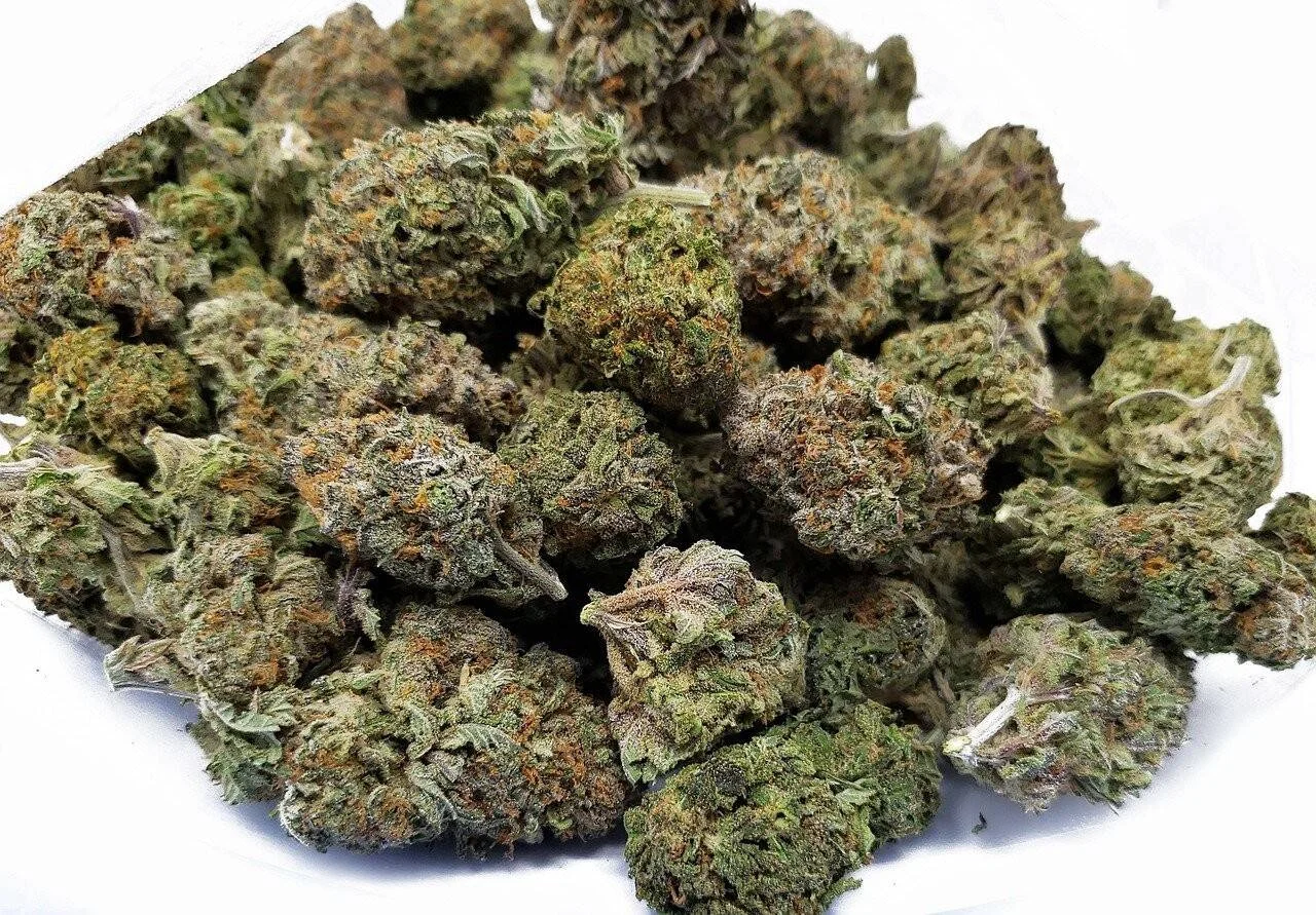 Gran cantidad de cogollos de cannabis seco con tricomas visibles apilados sobre fondo blanco.