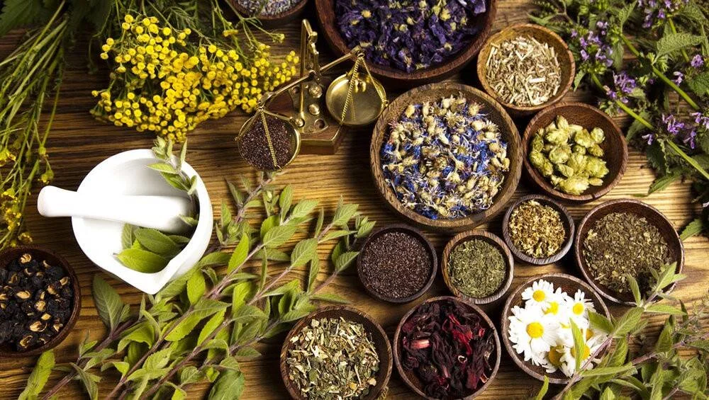 Variedad de hierbas medicinales secas en cuencos de madera, mortero blanco y flores frescas sobre mesa de madera.
