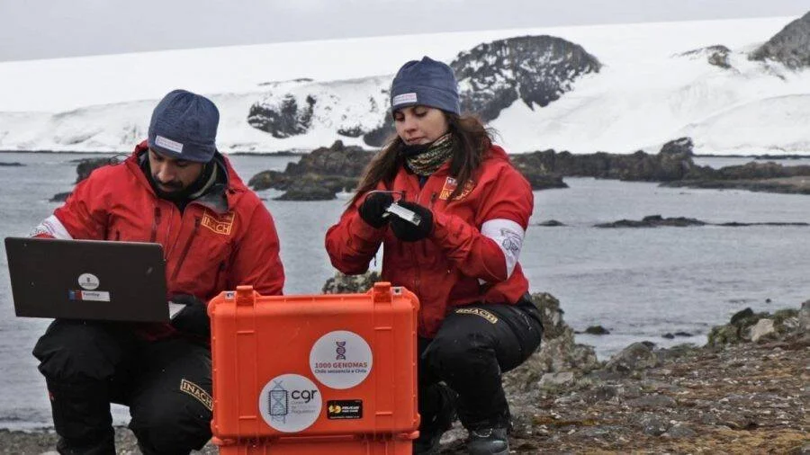Dos científicos del INACH trabajan con un maletín naranja y un portátil en la costa antártica nevada.