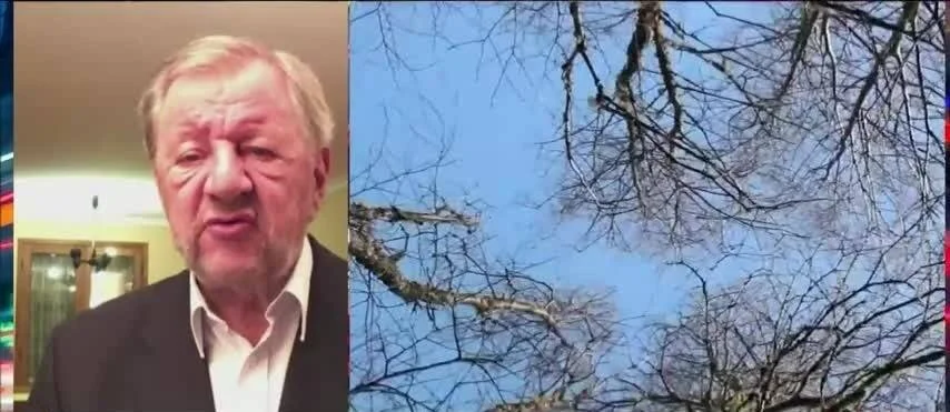 Pantalla dividida: hombre mayor hablando en videollamada y ramas de árboles sin hojas contra cielo azul.