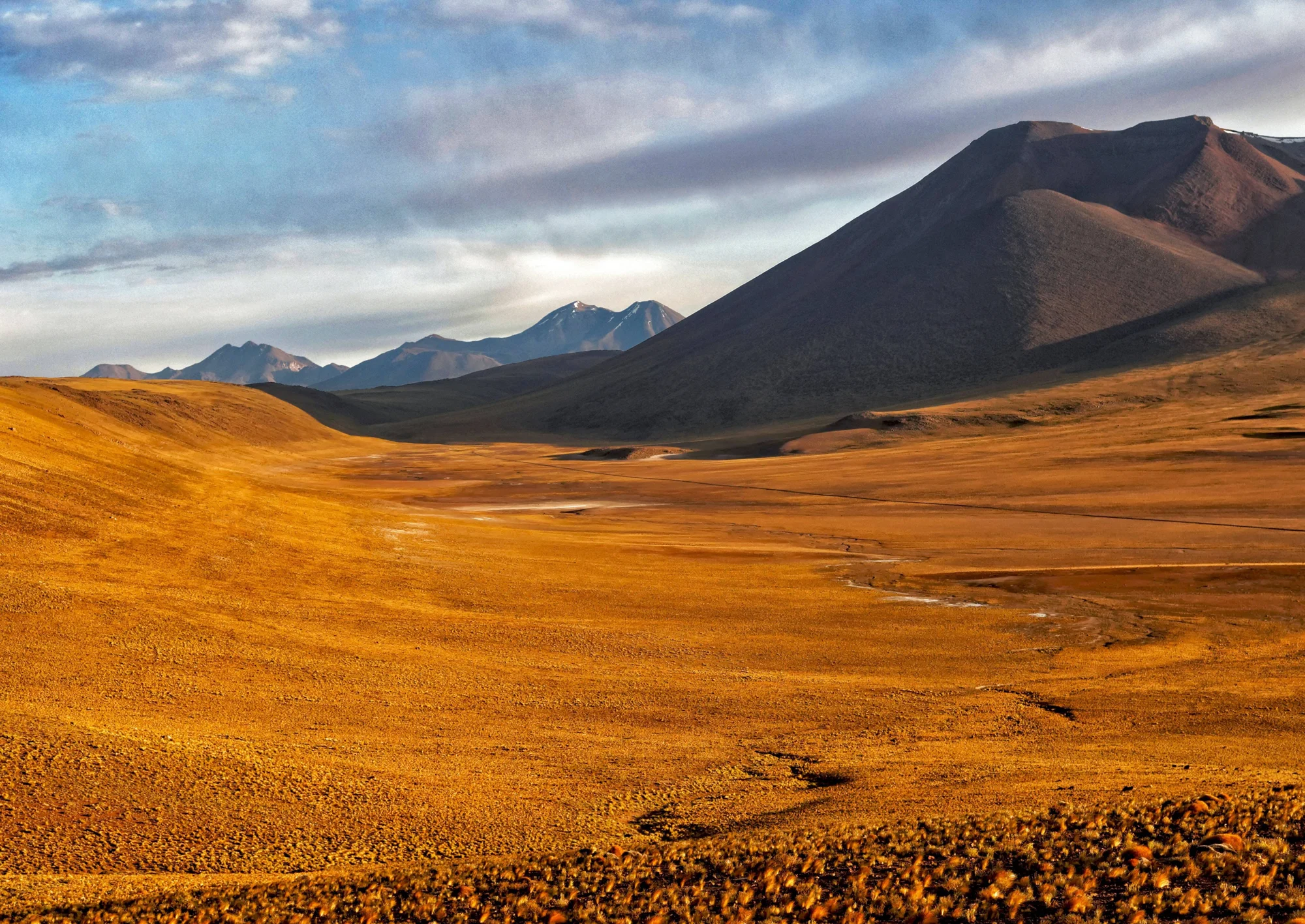 Vasta llanura dorada de alta montaña con un volcán oscuro y cumbres nevadas al fondo bajo cielo nublado.