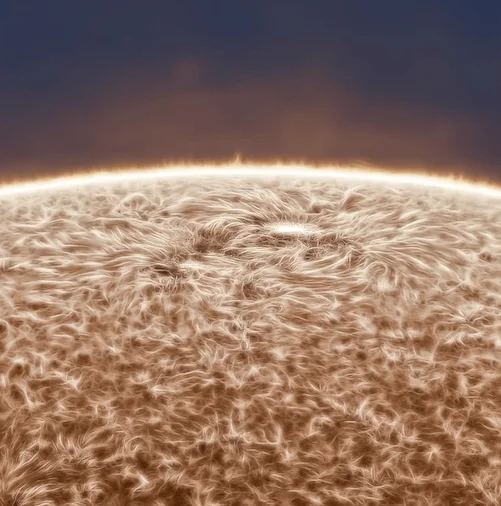 Primer plano detallado de la superficie del Sol mostrando filamentos solares, granulación y protuberancias en el limbo solar.