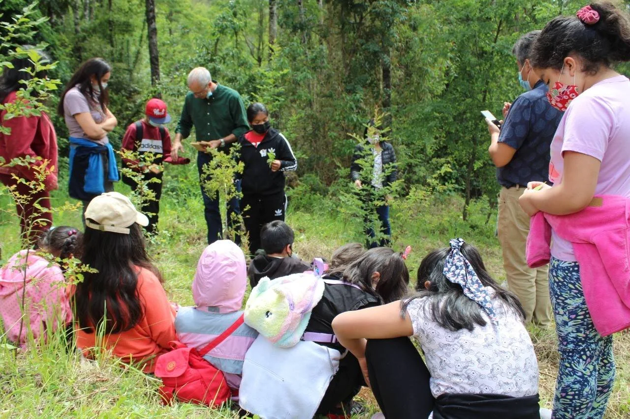 Grupo de niños y adultos participan en una actividad de educación ambiental en un bosque, observando plantas.