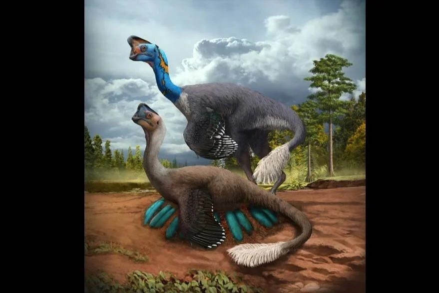 Reconstrucción artística de dos dinosaurios oviraptóridos emplumados junto a un nido con huevos en un paisaje cretácico.