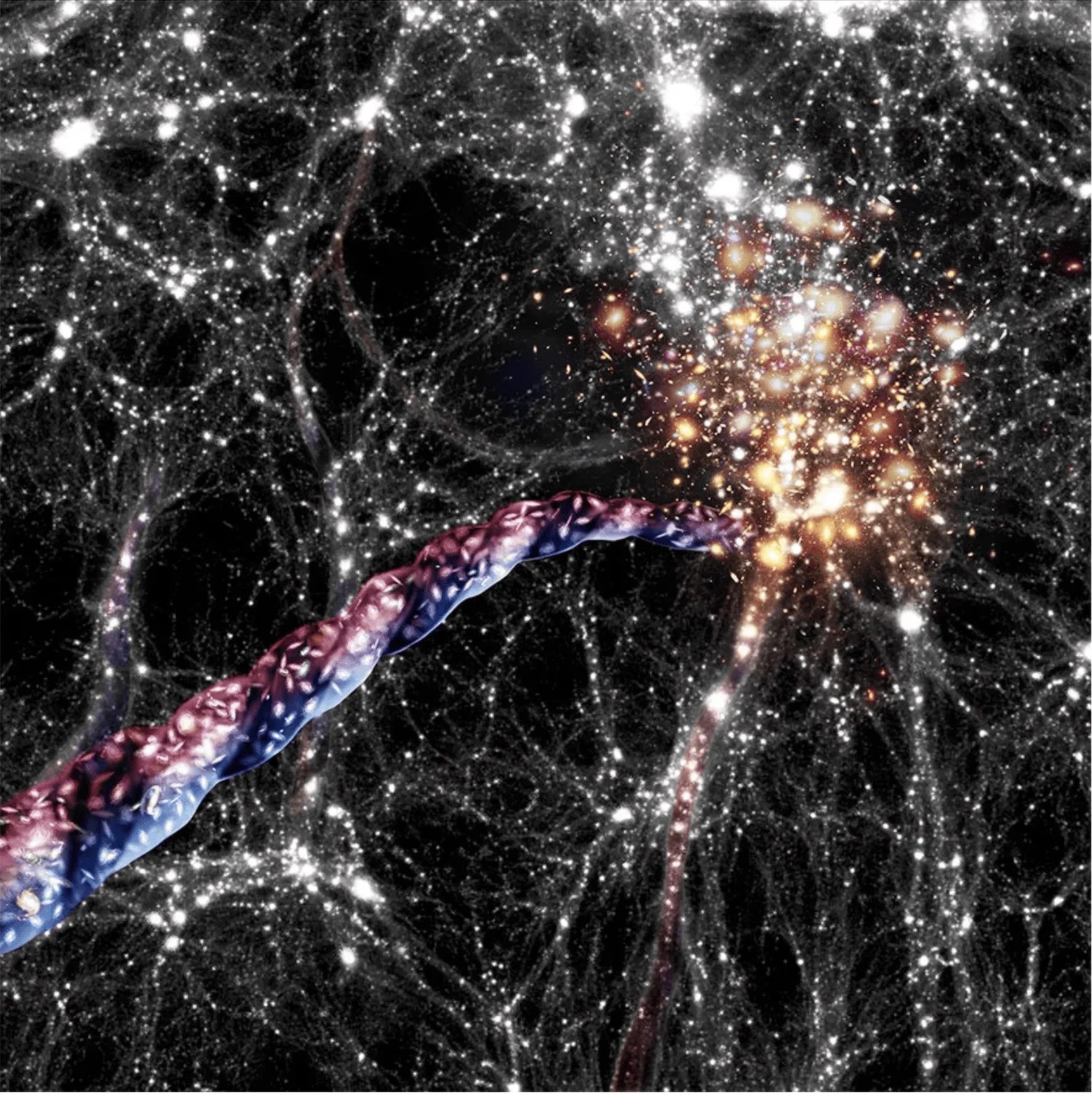 Ilustración científica de un filamento cósmico azul y rojo alimentando un cúmulo de galaxias en la red cósmica a gran escala.