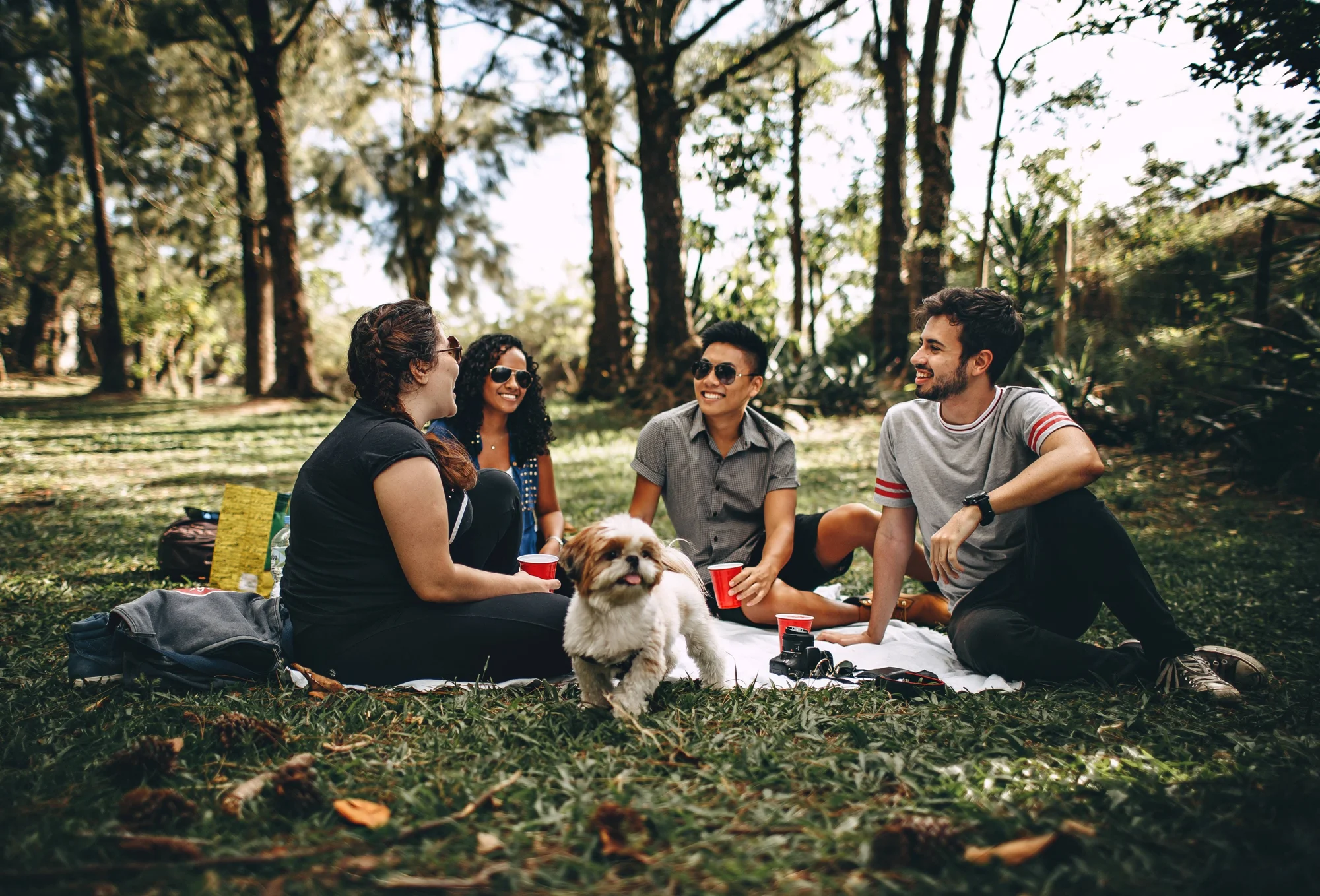 Cuatro jóvenes amigos ríen y conversan sentados en el césped de un parque arbolado junto a un perro pequeño y vasos rojos.