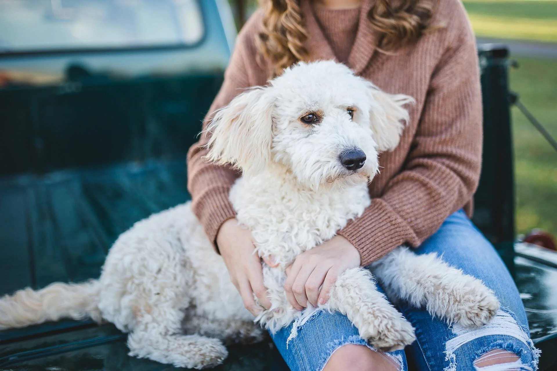 Una mujer sostiene entre sus brazos a un perro pequeño de pelaje blanco y rizado sentados en la batea de una camioneta.