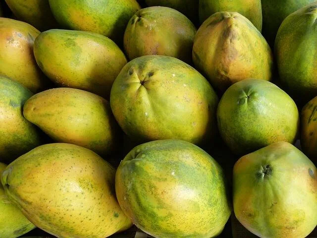 Grupo de papayas semimaduras de color verde y amarillo apiladas en un puesto de mercado.