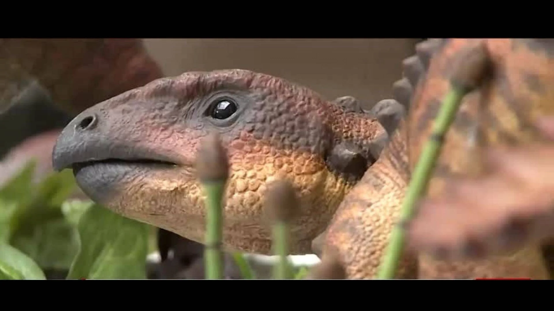 Reconstrucción digital en primer plano de la cabeza de un dinosaurio herbívoro con escamas marrones y pico, rodeado de vegetación.