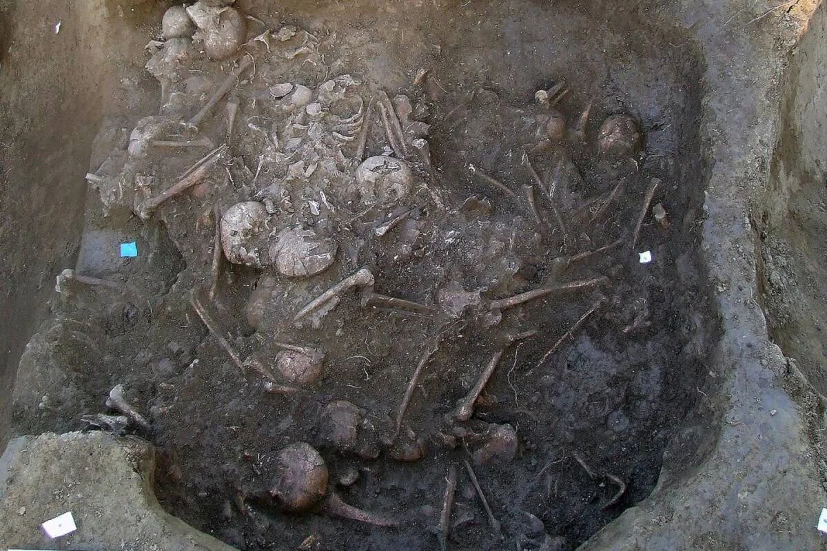 Vista cenital de una fosa arqueológica con múltiples esqueletos y cráneos humanos superpuestos en tierra oscura.