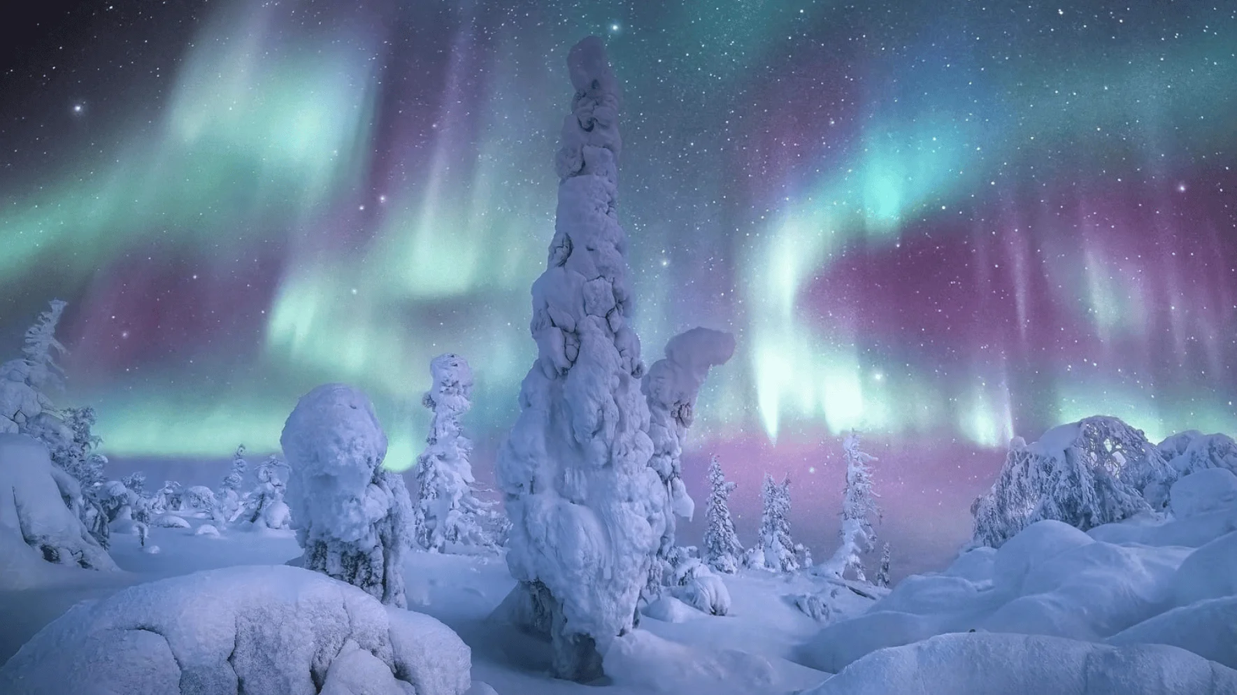 Árboles cubiertos de nieve bajo un cielo nocturno con auroras boreales en tonos verdes y violetas.