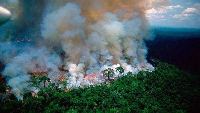 Vista aérea de un incendio forestal activo con llamas y densas columnas de humo sobre una selva tropical.