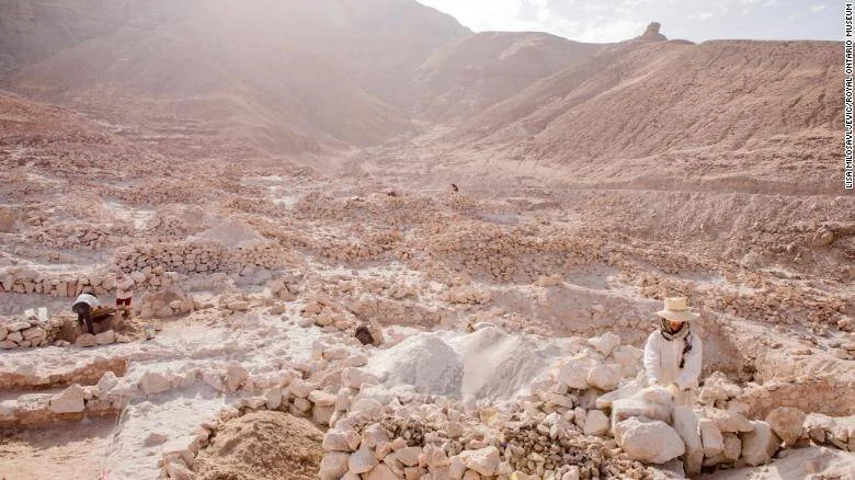 Dos arqueólogos trabajan en una excavación rodeada de rocas y colinas áridas en un paisaje desértico.