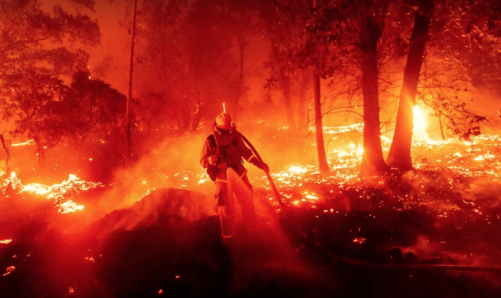 Bombero con manguera rodeado de llamas y árboles en llamas durante un incendio forestal de gran magnitud.