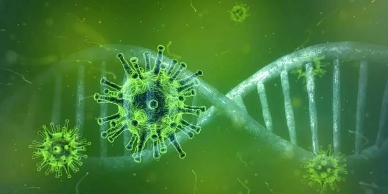 Representación digital de partículas de virus junto a una doble hélice de ADN sobre fondo verde.