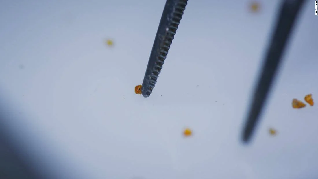 Pinzas de laboratorio sujetan una diminuta partícula naranja rodeada de otros fragmentos similares sobre fondo blanco.