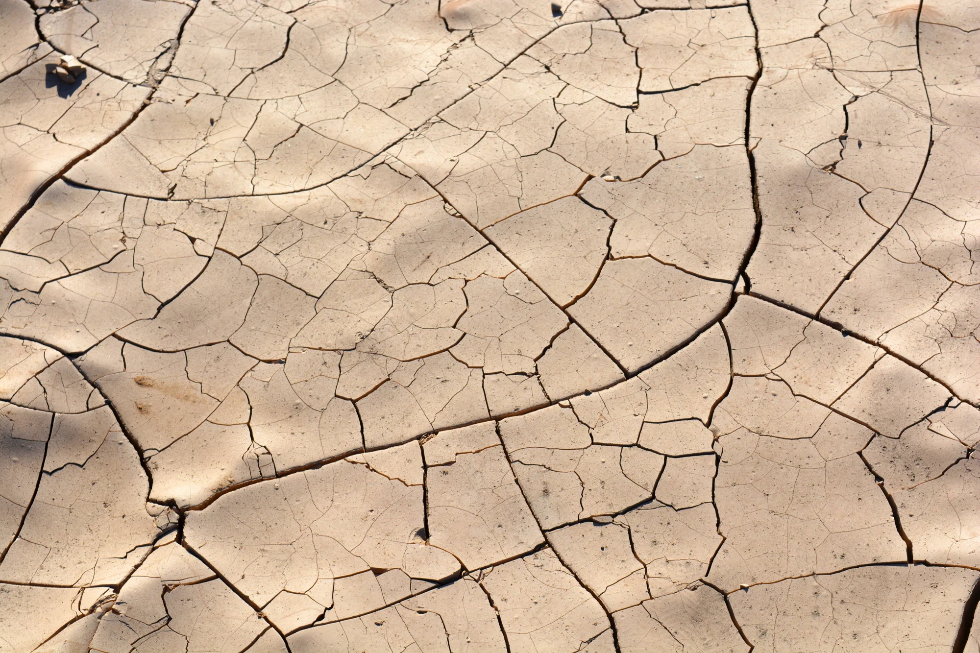 Tierra árida completamente agrietada y reseca, evidenciando condiciones de sequía severa.