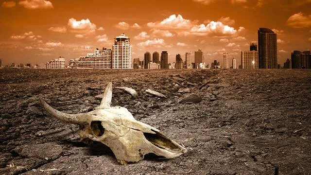 Cráneo de bovino sobre suelo reseco y agrietado con skyline urbano al fondo, ilustrando el impacto del cambio climático.