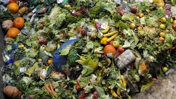 Montaña de frutas, verduras y restos de comida desechados, evidenciando el problema del desperdicio alimentario.