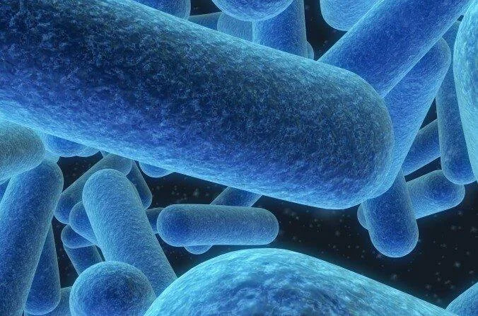 Representación tridimensional de bacterias bacilos de color azul sobre fondo oscuro.