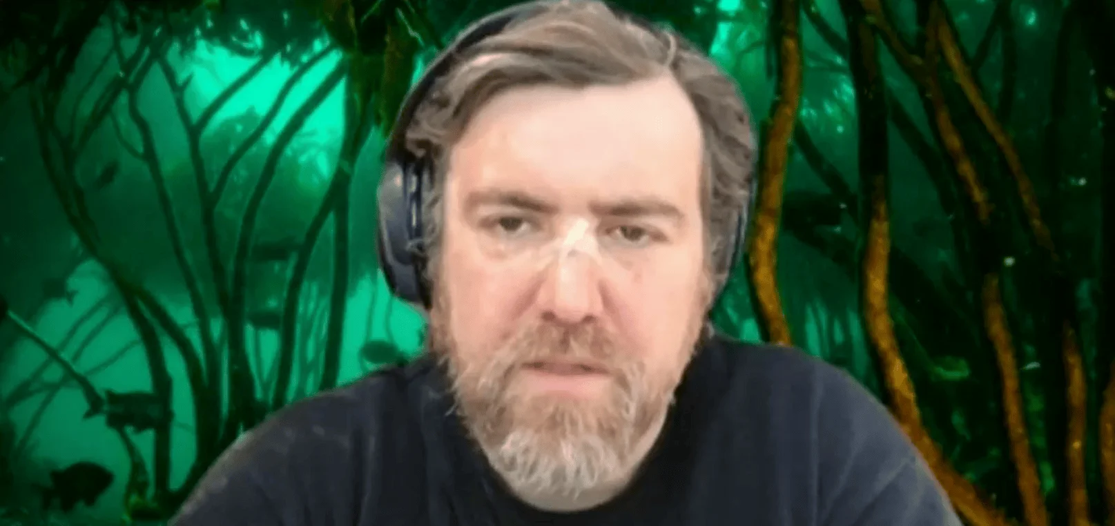 Hombre de mediana edad con barba y auriculares negros participa en una videollamada con fondo virtual de bosque verde.