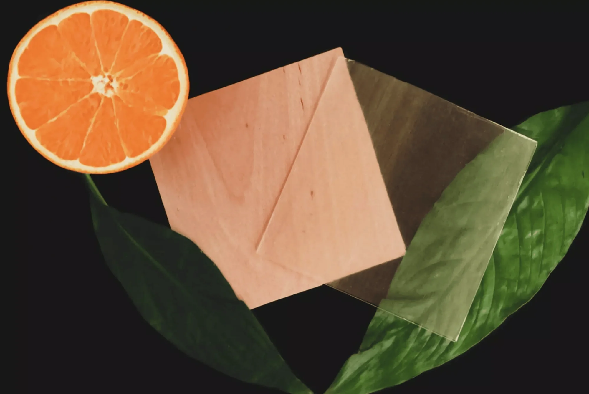 Mitad de naranja, láminas de madera y material transparente sobre hojas verdes, evocando materiales de origen natural.