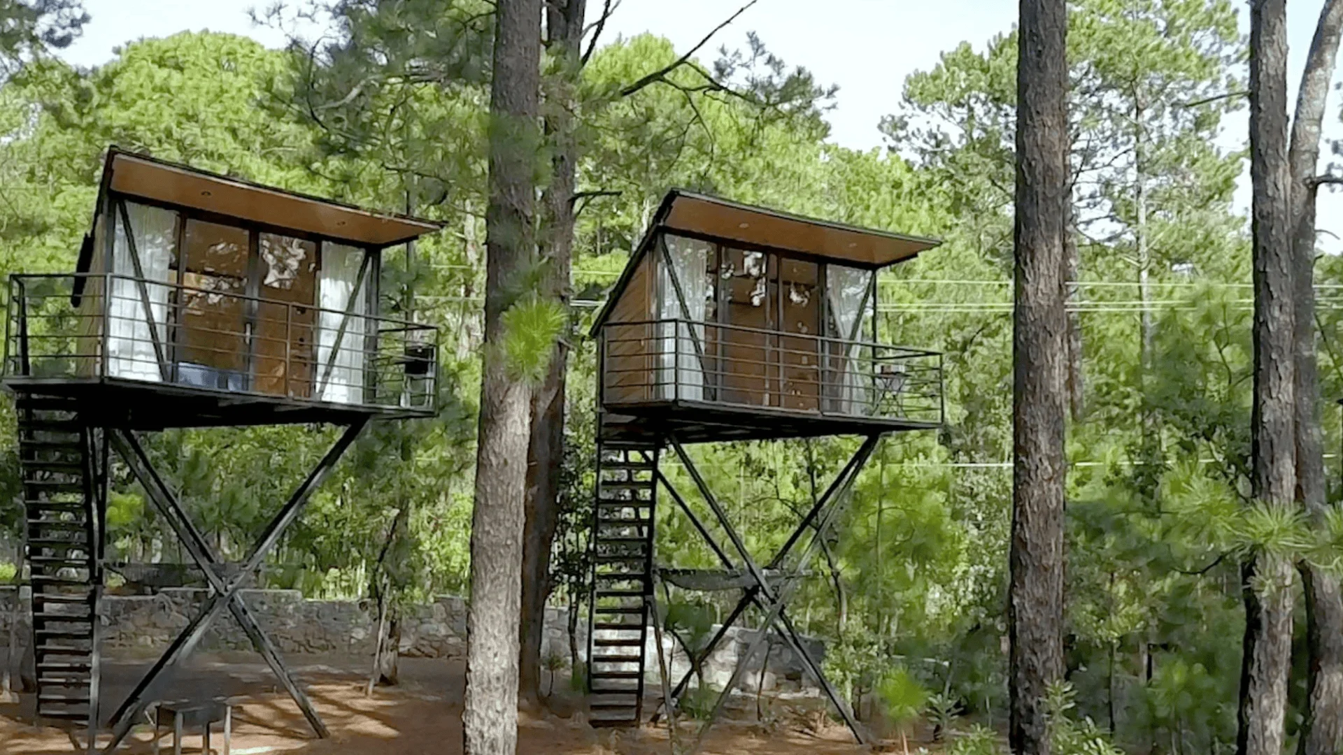 Dos cabañas modernas elevadas sobre estructuras metálicas con escaleras, rodeadas de pinos en un entorno boscoso.