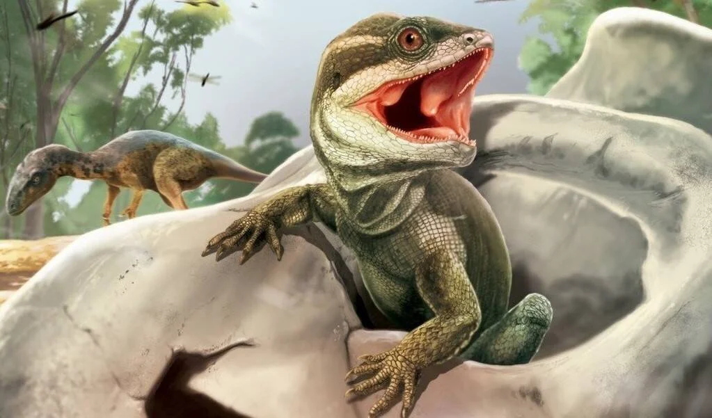 Recreación artística de un pequeño reptil prehistórico saliendo de su huevo con la boca abierta, junto a dinosaurios al fondo.