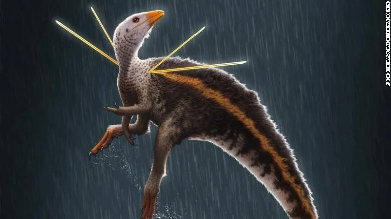 Reconstrucción artística de un dinosaurio pequeño con plumas, rayas naranjas y largas púas doradas en la cabeza, bajo la lluvia.