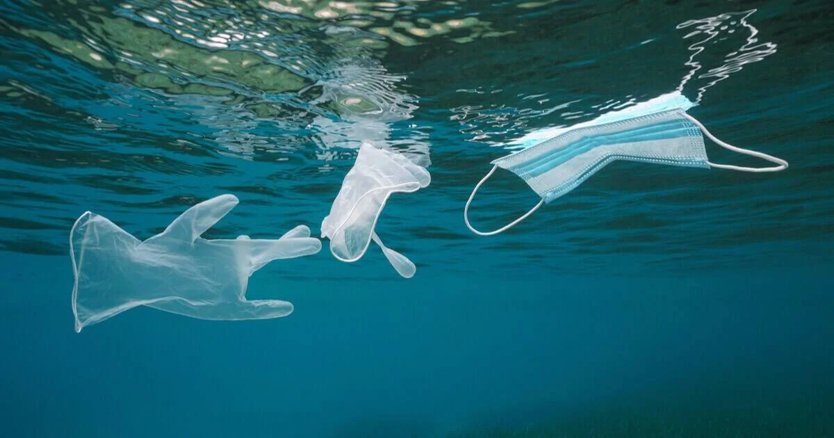 Guante de látex, mascarilla blanca y barbijo quirúrgico azul flotando bajo la superficie del océano.