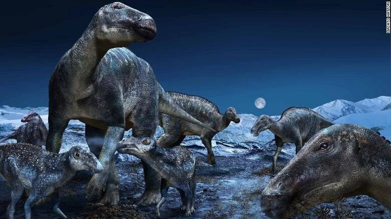 Ilustración de una manada de dinosaurios hadrosaurios adultos y crías en un entorno ártico bajo la luz de la luna.