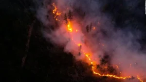 Líneas de fuego y humo denso consumen una ladera boscosa durante un incendio forestal, fotografiado desde el aire de noche.