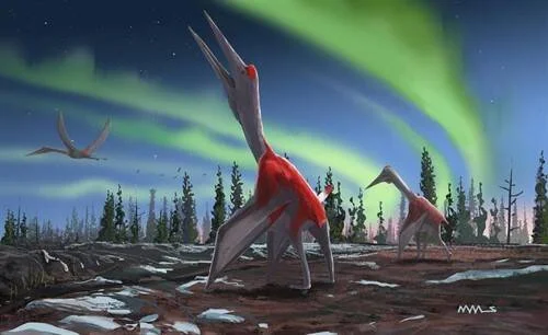 Reconstrucción artística de pterosaurios de cuello largo caminando en un paisaje ártico con auroras boreales y árboles al fondo.