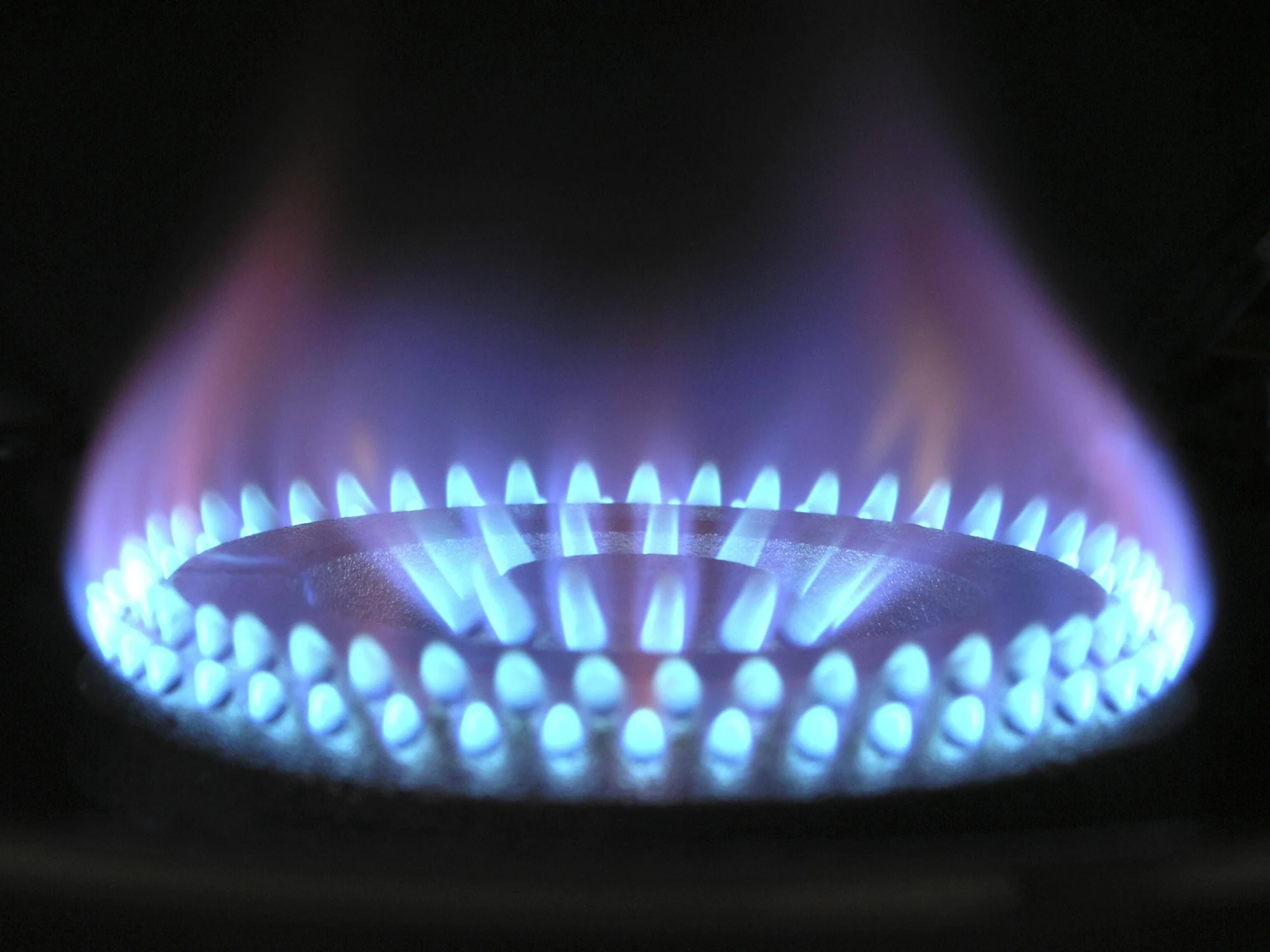 Hornalla de cocina a gas encendida con llamas azules y violetas sobre fondo oscuro.