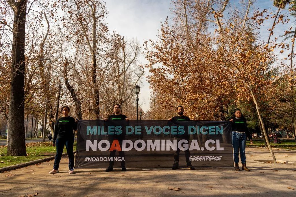 Cuatro activistas de Greenpeace sostienen una pancarta negra con el mensaje 'Miles de voces dicen NoADominga.cl' en un parque arbolado.